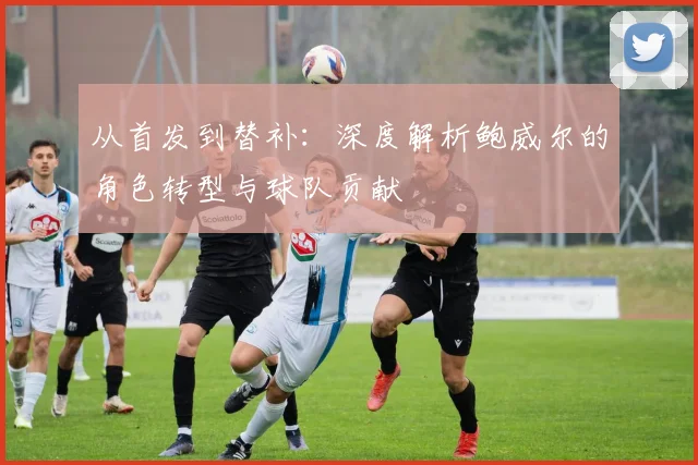 从首发到替补：深度解析鲍威尔的角色转型与球队贡献